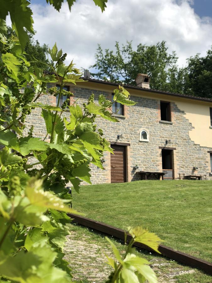 Agriturismo La Ferraia Pianello  Exterior foto
