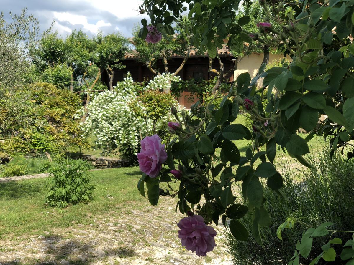 Agriturismo La Ferraia Pianello  Exterior foto
